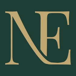 Narrativa Ejecutiva Logo